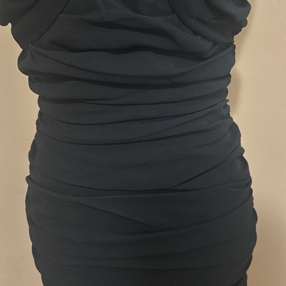 Zara Draped Tube Petite Mini Dress - Picture 6 of 6